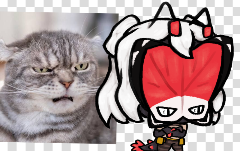 File:AethirCat.png